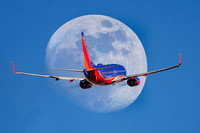The Art Of Flight