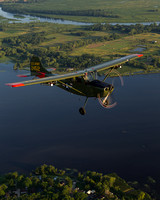 Cessna L-19 Bird Dog