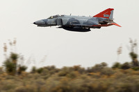 Phabulous Phantoms