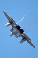 360th Fighter Wing .. The Wild Boars