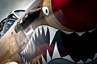 The Art Of Flight