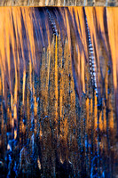 Fire Fall